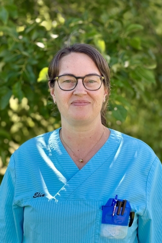 Lotta Kocsis
