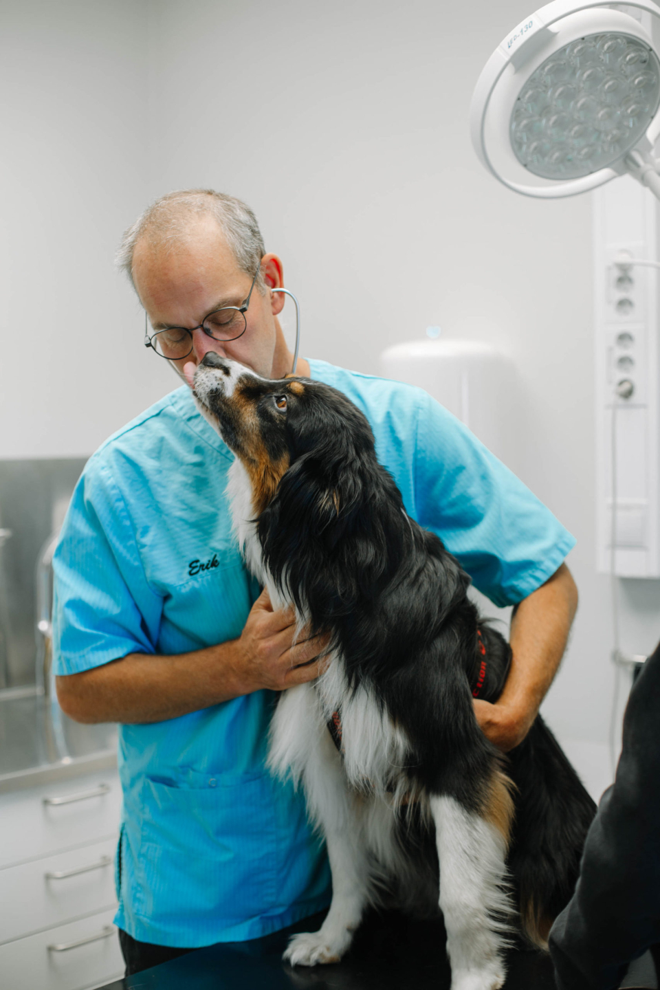 Veterinär med en hund.